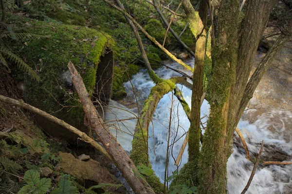森の中に滝を作る苔で覆われたパイプ — ストック写真