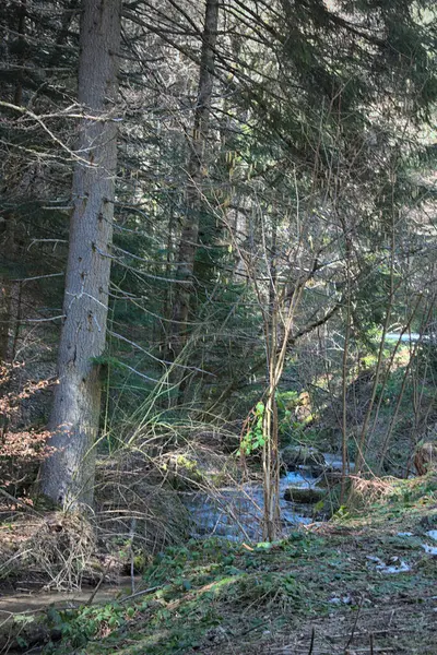Μικρό Καταρράκτη Φυσικό Ρεύμα Στο Δάσος — Φωτογραφία Αρχείου