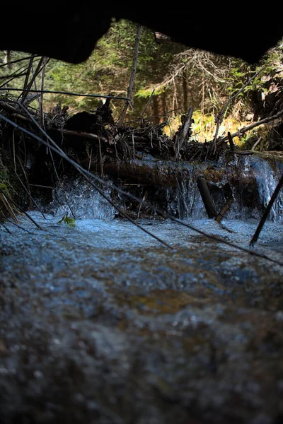 森の中の小さな渓流の滝 — ストック写真
