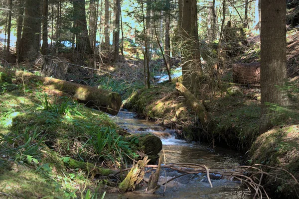 Piccola Cascata Torrente Naturale Nella Foresta — Foto Stock