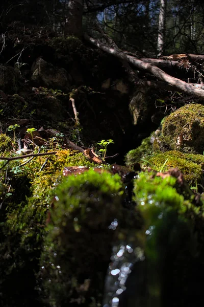 Kleine Natuurlijke Waterval Het Bos — Stockfoto