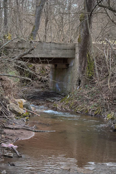 Μικρή Γέφυρα Πάνω Από Ποτάμι Στο Δάσος — Φωτογραφία Αρχείου