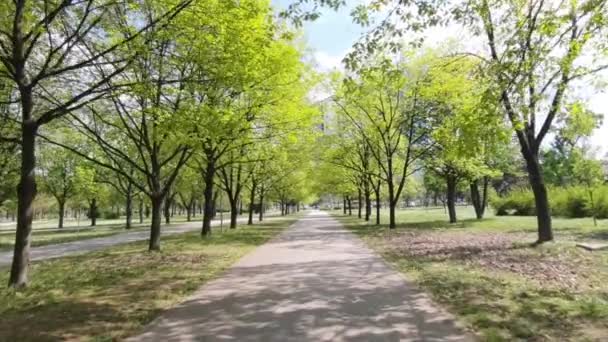 Ruhiger Spaziergang Durch Die Gasse Park — Stockvideo