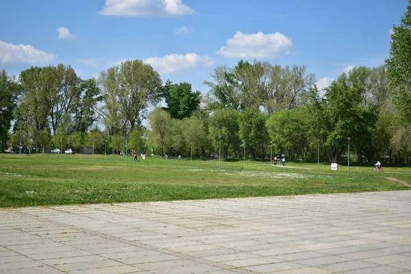 Rasenplatz Park Frühjahr — Stockfoto
