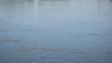 Tuna Nehri 'nin su yüzeyi 