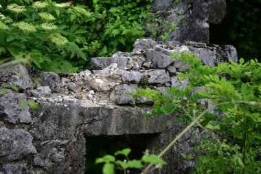 Dağlarda çalılarla kaplı eski bir taş evin kalıntıları. 