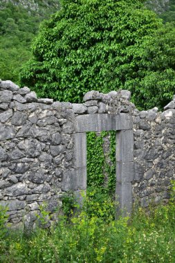 Dağlarda çalılarla kaplı eski bir taş evin kalıntıları. 