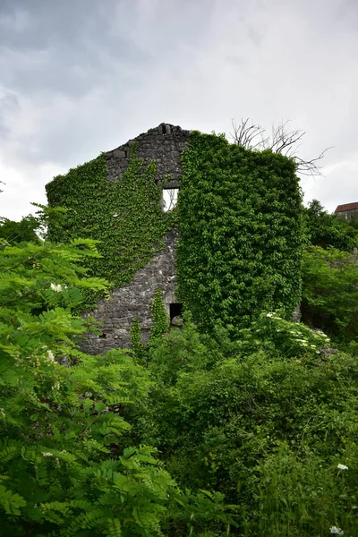 Ruiny Starego Kamiennego Domu Górach Pokryte Krzakami — Zdjęcie stockowe