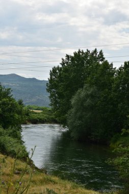 Yazın ormandaki nehir.