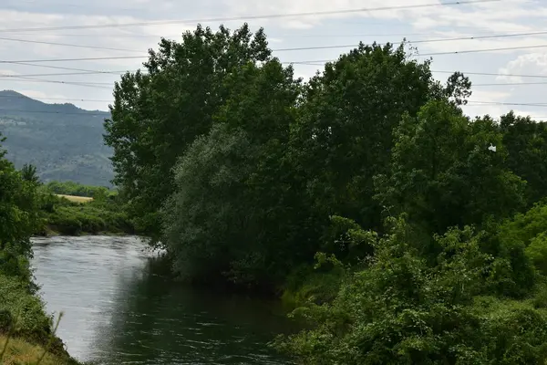 夏天森林里的河流 — 图库照片