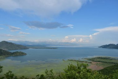 Yazın bataklık ve dağlarla Skadar gölü manzarası