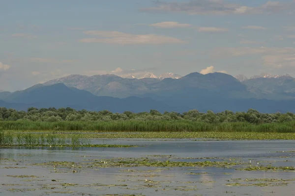 夏には沼や山とSkadar湖の風景 — ストック写真