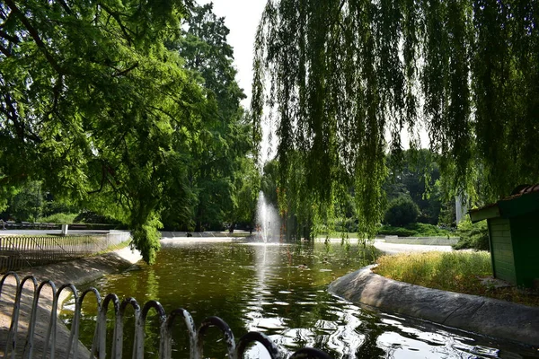 Novi Sad Serbien 2023 Donauparksee Einem Sonnigen Tag — Stockfoto
