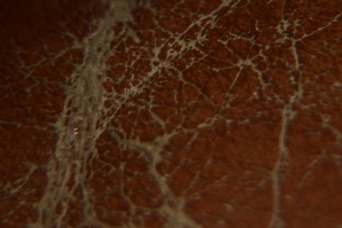 Close up of brown skin texture background macro photography abstract