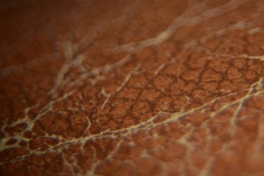 Close up of brown skin texture background macro photography abstract