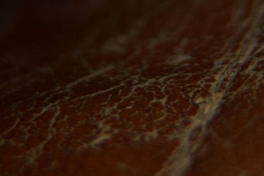 Close up of brown skin texture background macro photography abstract