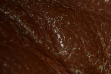 Close up of brown skin texture background macro photography abstract