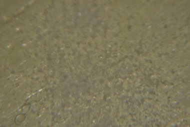 Mutfak tuz kristallerini kapat 