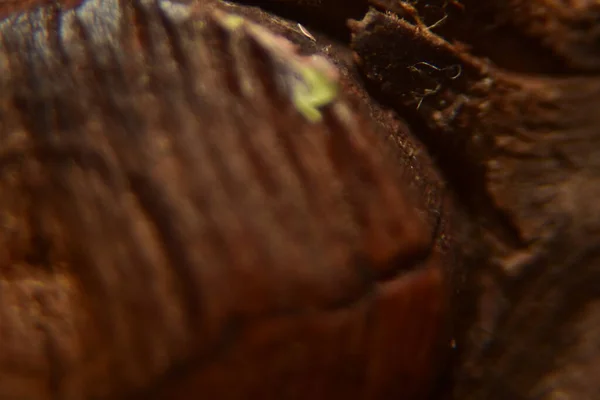 Koyu Kahverengi Ahşap Arkaplanı Kapat — Stok fotoğraf