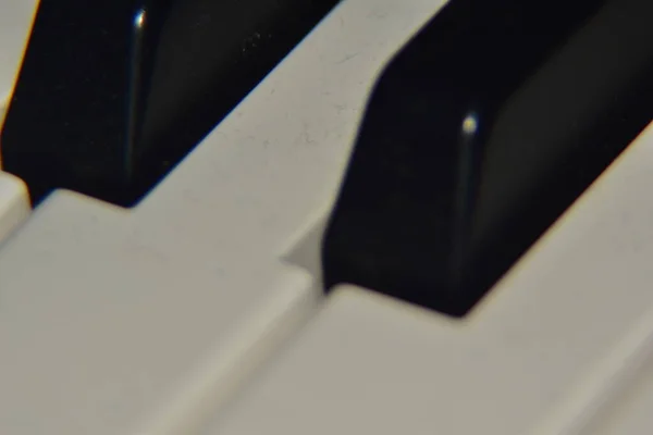 Close up of piano keys. Extreme macro shot of instrument, piano of synthesizer keys.