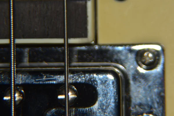 Bas Gitar Tellerini Kapat Enstrümanın Aşırı Makro Çekimi Kalın Bas — Stok fotoğraf
