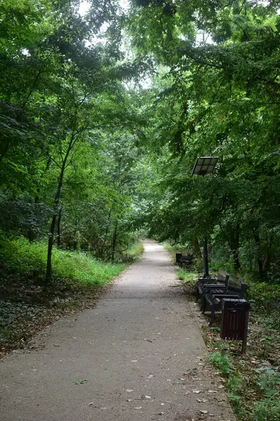 Sentiero Nel Parco Pubblico Con Panchine Alberi Paesaggio Verde — Foto Stock