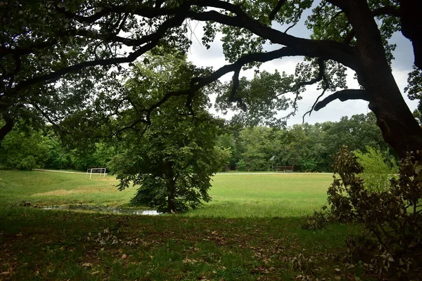 公園で湿った グリーンフィールド — ストック写真