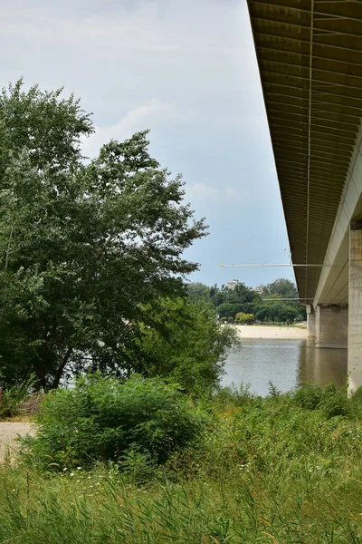 Novi Sad Paesaggio Urbano Ponte Sul Danubio Spiaggia Con Persone — Foto Stock