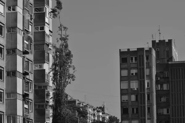 Житлові Будинки Стилі Бруталізму Чорно Білому — стокове фото