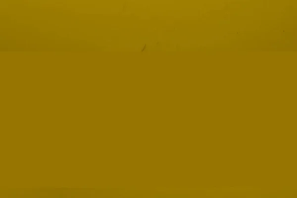 Nahaufnahme Einer Fruchtfliege Auf Einer Gelben Fliegenfalle — Stockfoto