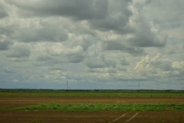 Pannonian ovasında buğday tarlası ve bulutlu gökyüzü