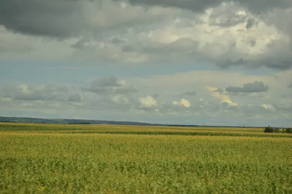 Pannonian Ovasında Buğday Tarlası Bulutlu Gökyüzü — Stok fotoğraf
