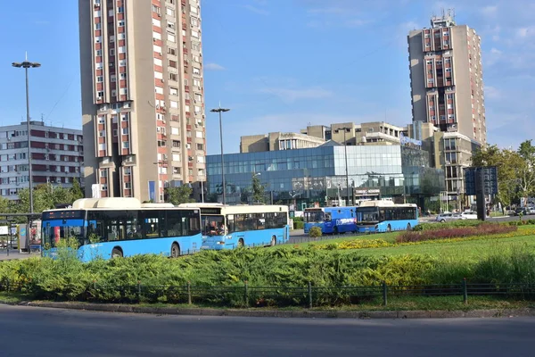 Новий Сад Сербія 2023 Автобуси Громадського Транспорту Автовокзалі Мікс Старих — стокове фото