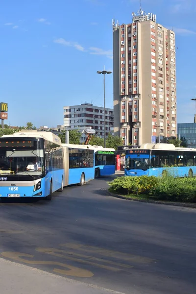Νόβι Σαντ Σερβία 2023 Λεωφορεία Δημόσιων Συγκοινωνιών Σταθμό Λεωφορείων Μείγμα — Φωτογραφία Αρχείου