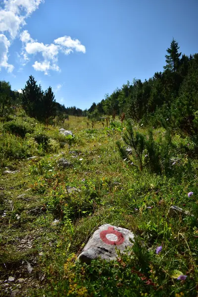 Sentiero Escursionistico Segno Escursionistico Sulla Roccia Cerchio Rosso Con Punto — Foto Stock
