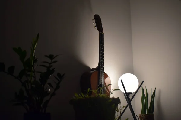 Guitarra Plantas Lâmpada Casa Interior — Fotografia de Stock