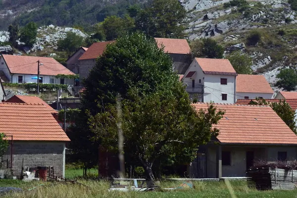 黑山的一个小石村 黑山Njegusi农村的老村庄 阳光灿烂的乡村风景 — 图库照片