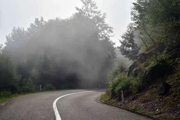 Foggy Strada Asfaltata Mattino Strada Nel Bosco Con Nebbia — Foto Stock