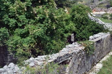 Çatısı olmayan terk edilmiş eski taş bir ev. Bitkilerle kaplanmış boş bir ev..
