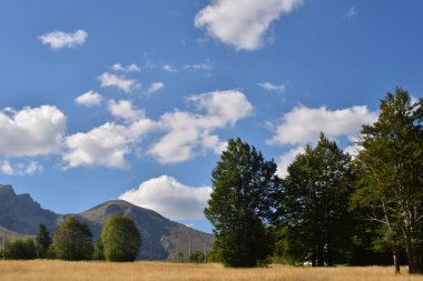 Sonbaharda çimen ve mavi gökyüzü güneşli bir günde. Güzel arka plan doğa fotoğrafçılığı.