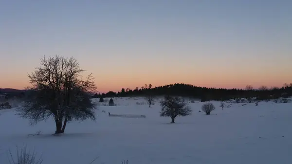 Wschód Słońca Nad Panoramą Śniegu Zimie Drzewami — Zdjęcie stockowe