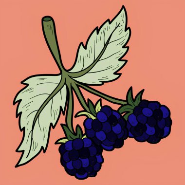 Meyve yapraklı böğürtlen