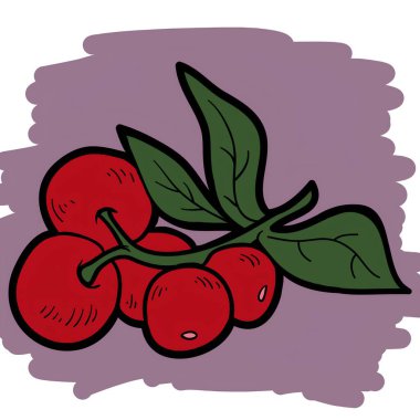 Meyve yapraklı kiraz