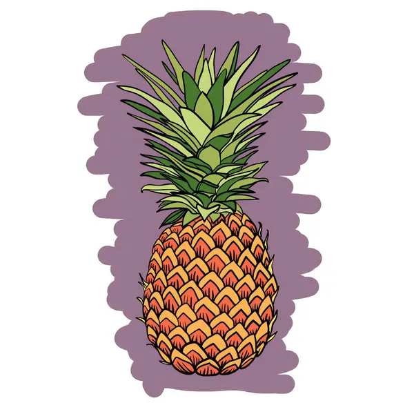 Ananas Barevné Ilustrace Ovoce — Stock fotografie