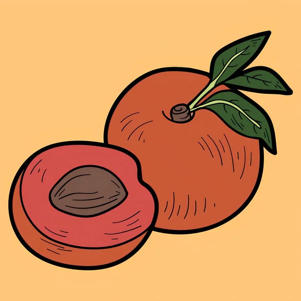 Peach with leaves illustration of fruit