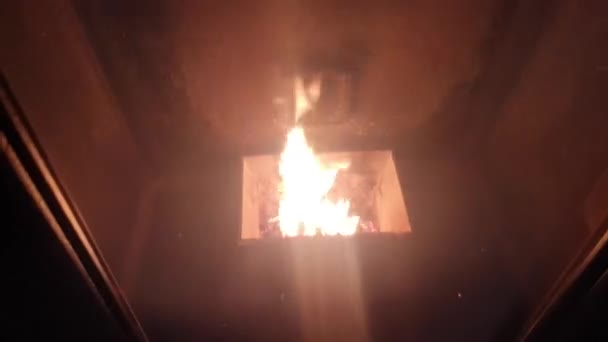 Furnace Burning Pellet Fuel Fireplace — Stock Video