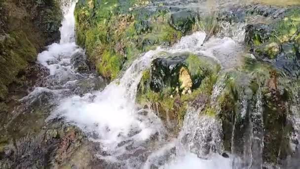 Mały Wodospad Zaporze Parku Publicznym Zwolnionym Tempie — Wideo stockowe
