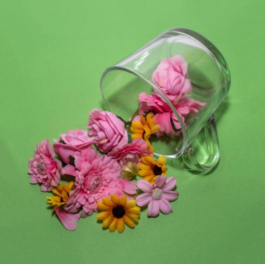 Çiçekler bardaktan çıkar. Stüdyoda konsept fotoğrafçılık. Yaratıcı tasarım.