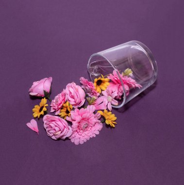 Çiçekler bardaktan çıkar. Stüdyoda konsept fotoğrafçılık. Yaratıcı tasarım.