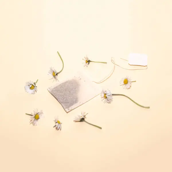 Tea bags and flowers creative layout. Isolated concept creative photo.